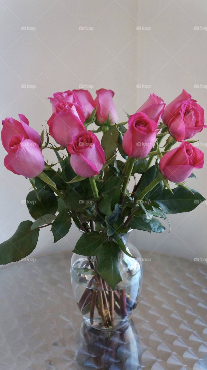 Beautiful pink roses symbolizing sweetness and femininity definitely aligns with Barbie’s style. 