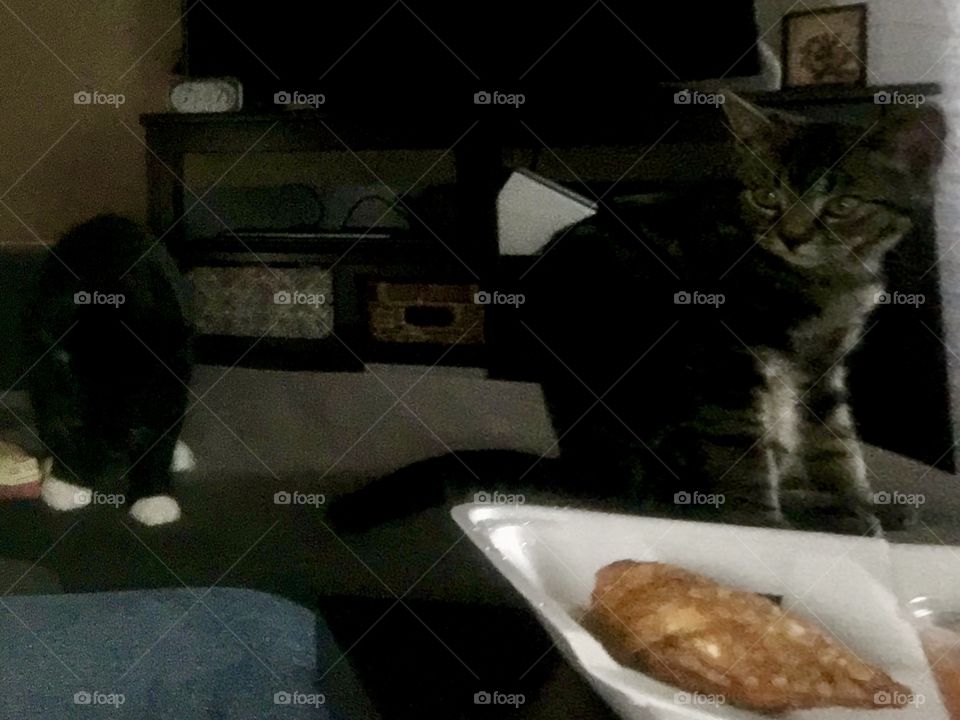 We’re NOT looking at your food!