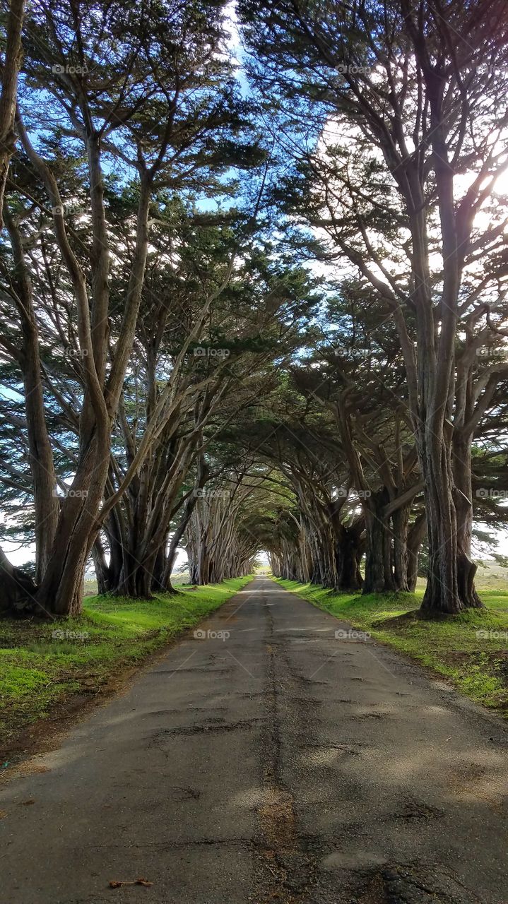 Point Reyes