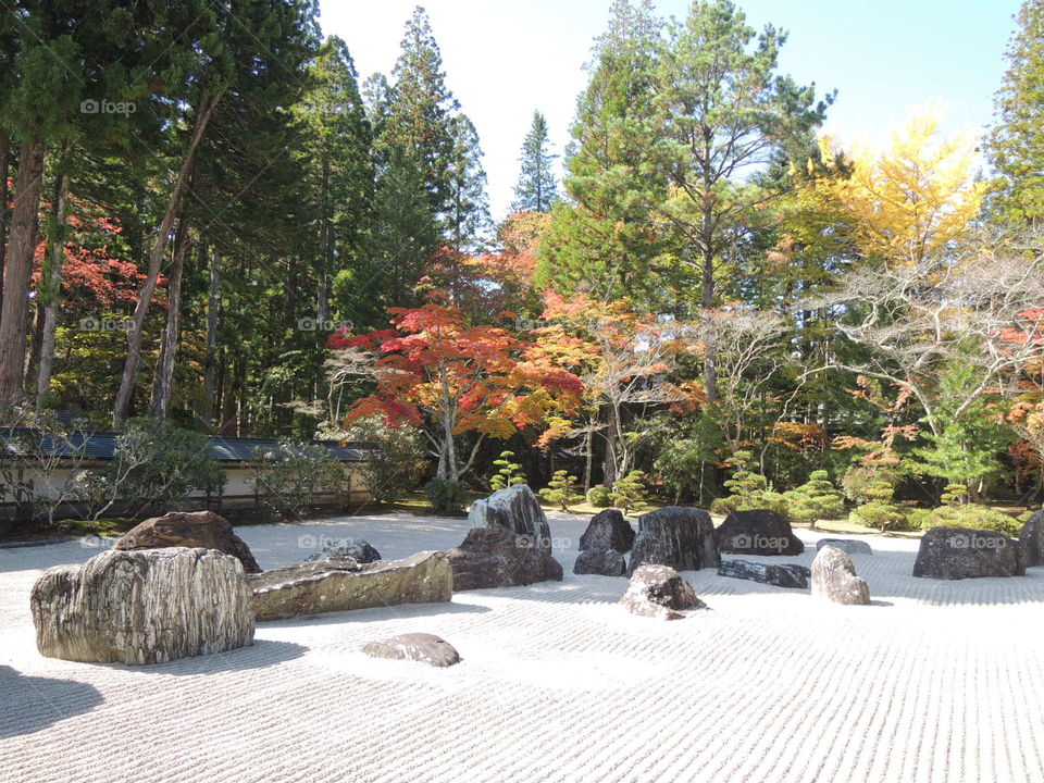 Autumn is here in Zen garden, Wakayama, Japan