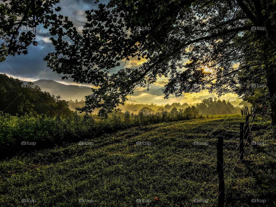 The golden hour....sunrise in Cades Cove