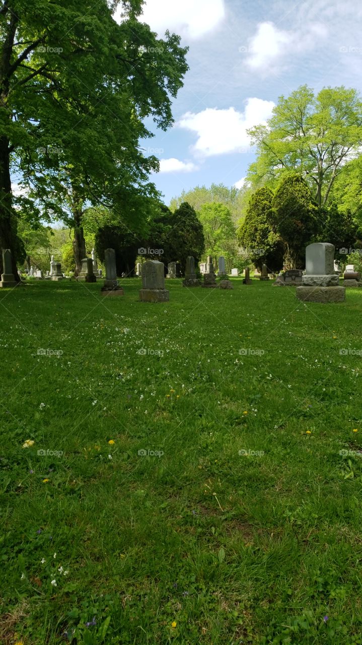 lush green opening in woods con taining a peaceful cemetery with headstones
