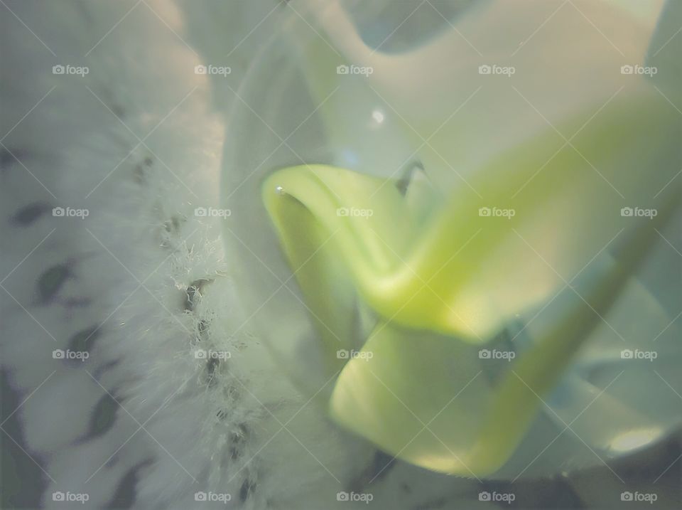 Pipe Cleaners And Marbles