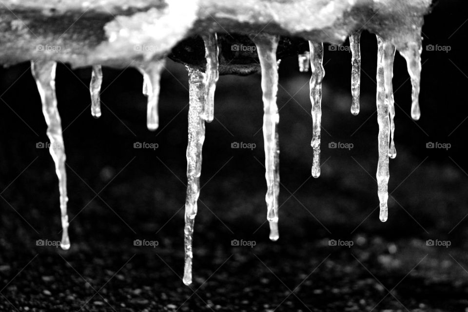icicles