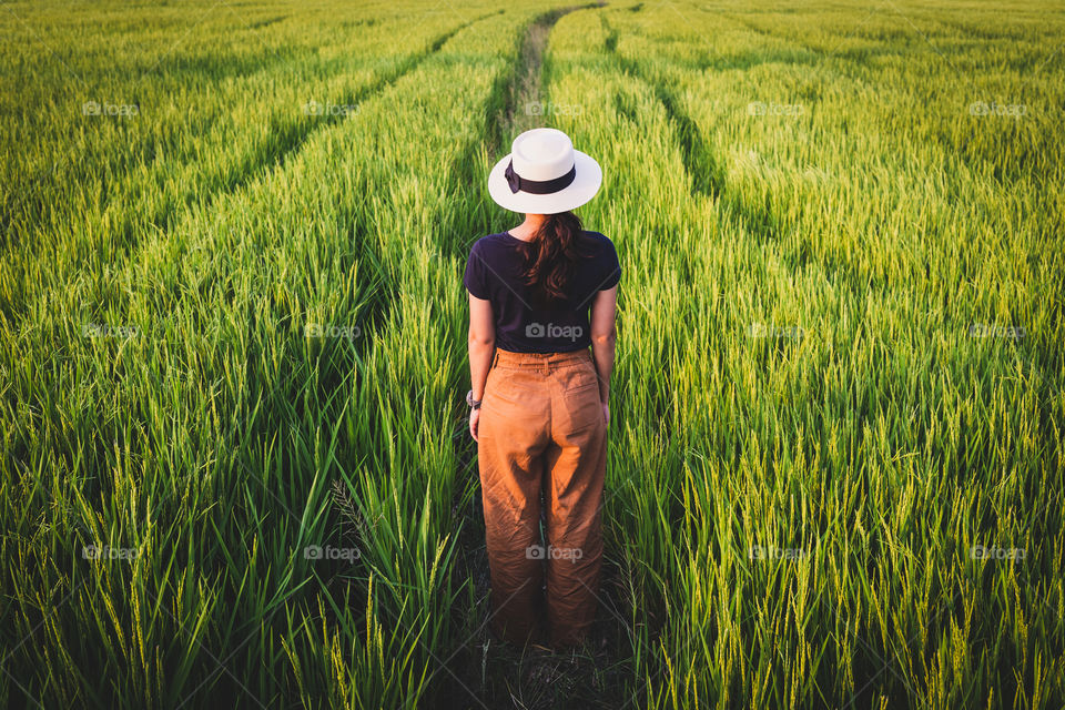 Women standing alone in the rice fields