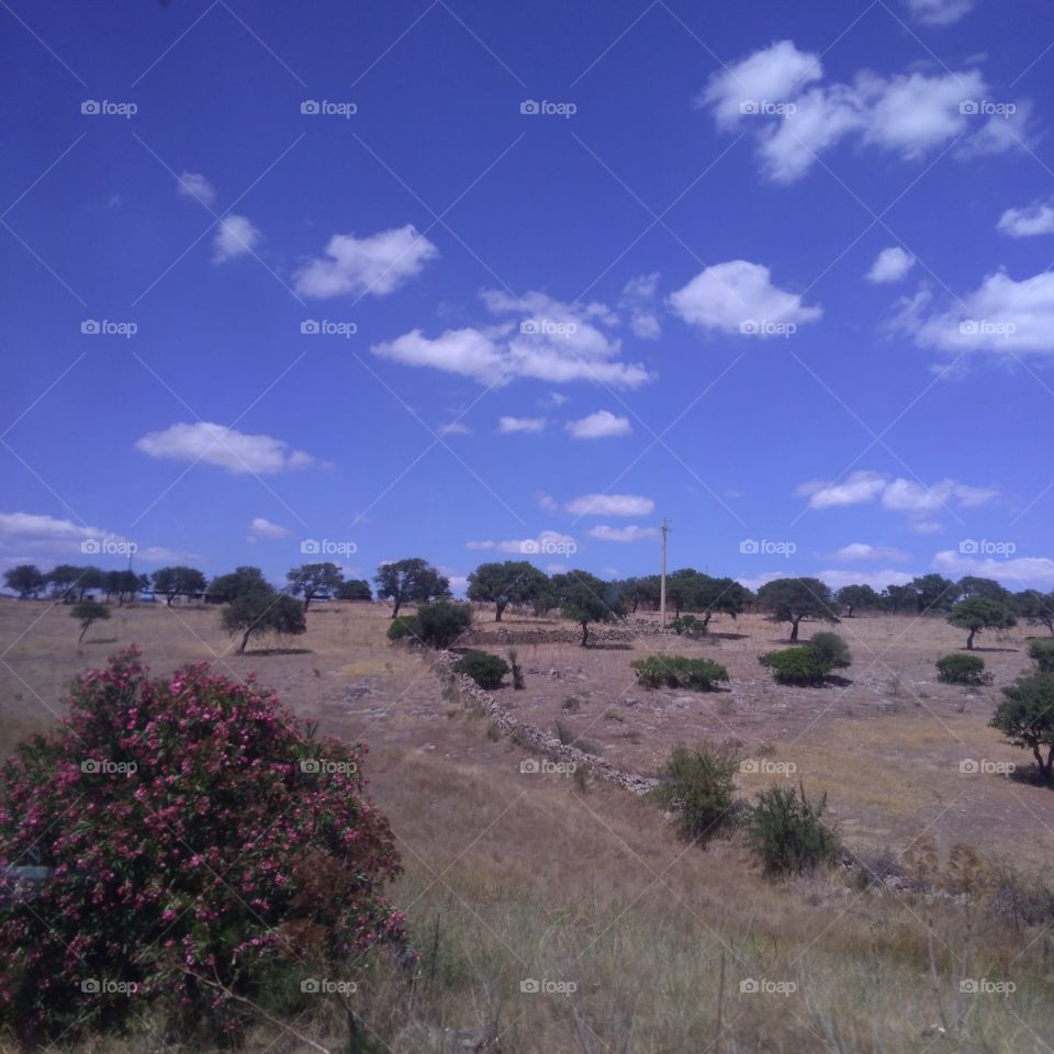 From Nuoro to Oniferi, landscape