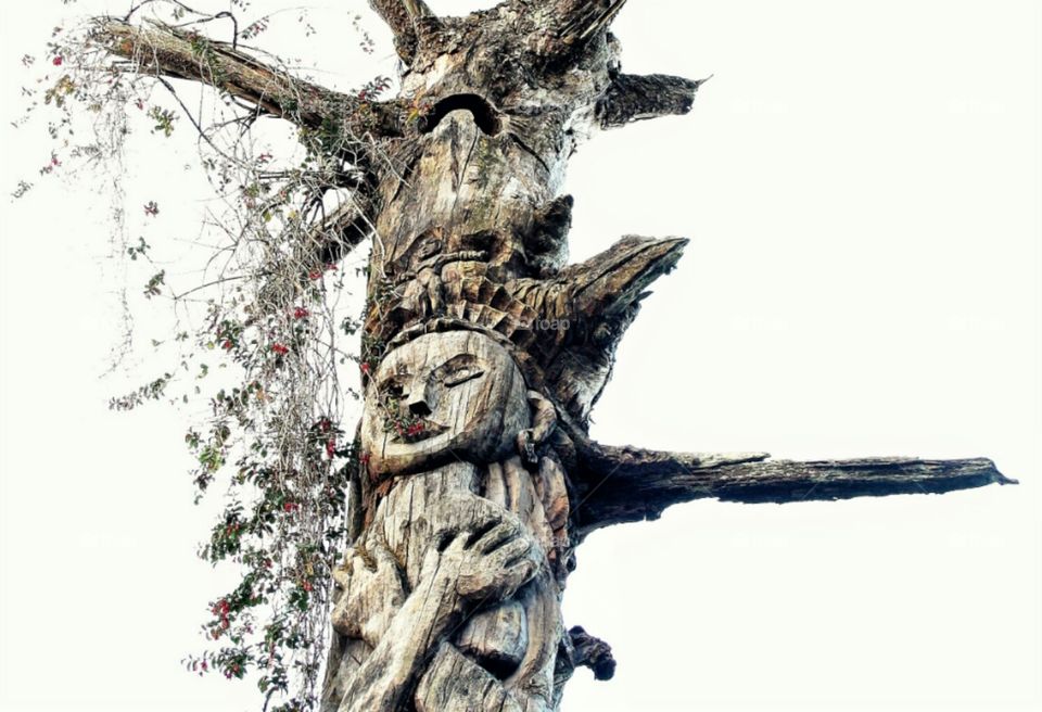 Ancient tree sculpture