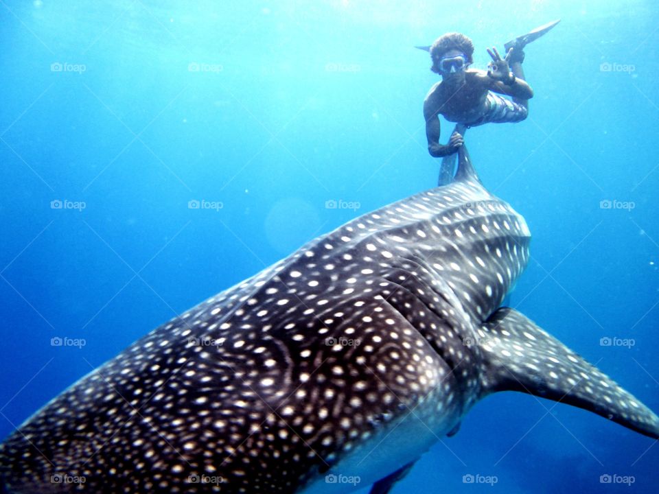 It's me under water with whale shark