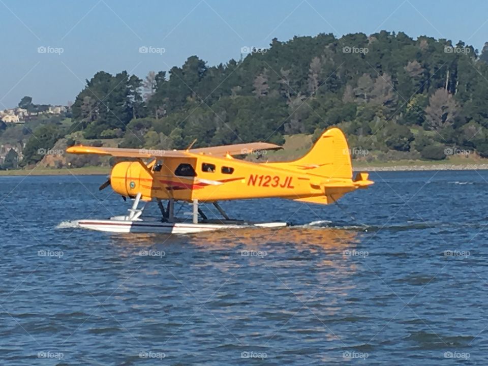 Sea Plane