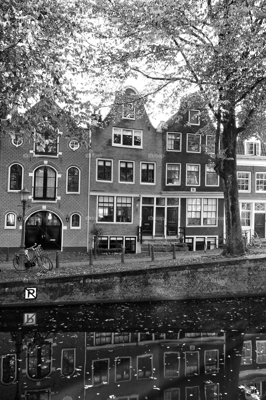 Amsterdam. Canal