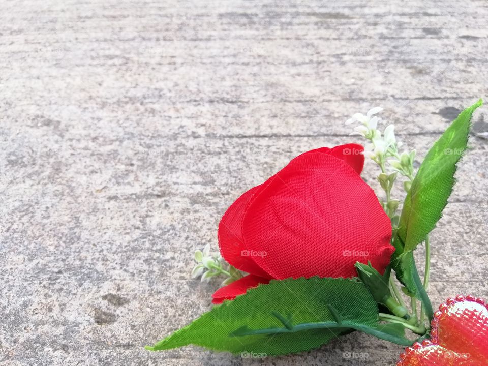 Red rose on cement floor