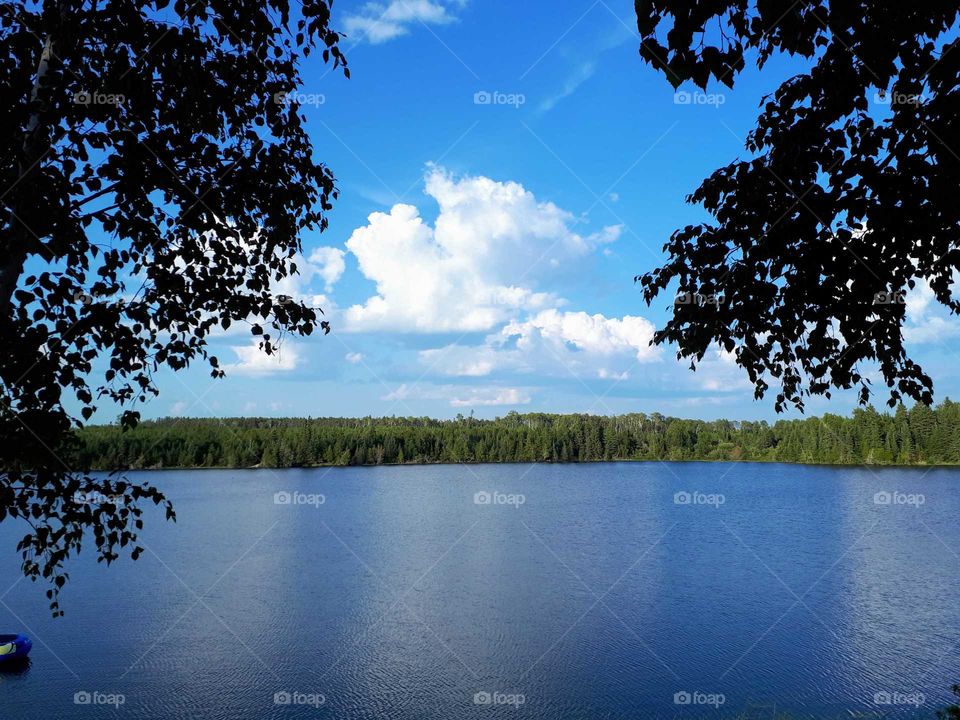 a quiet blue lake through the trees