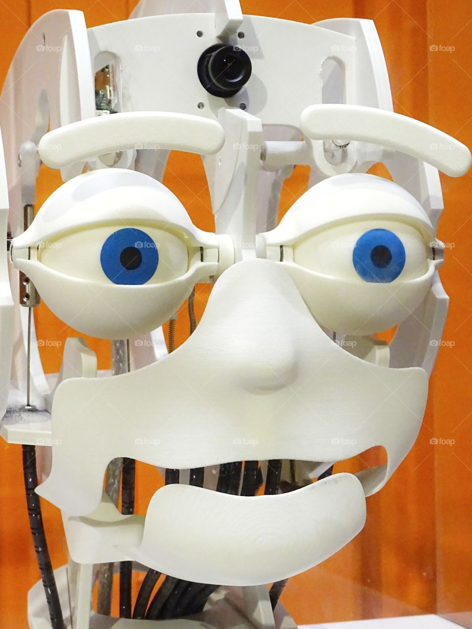 The eyes of the robot