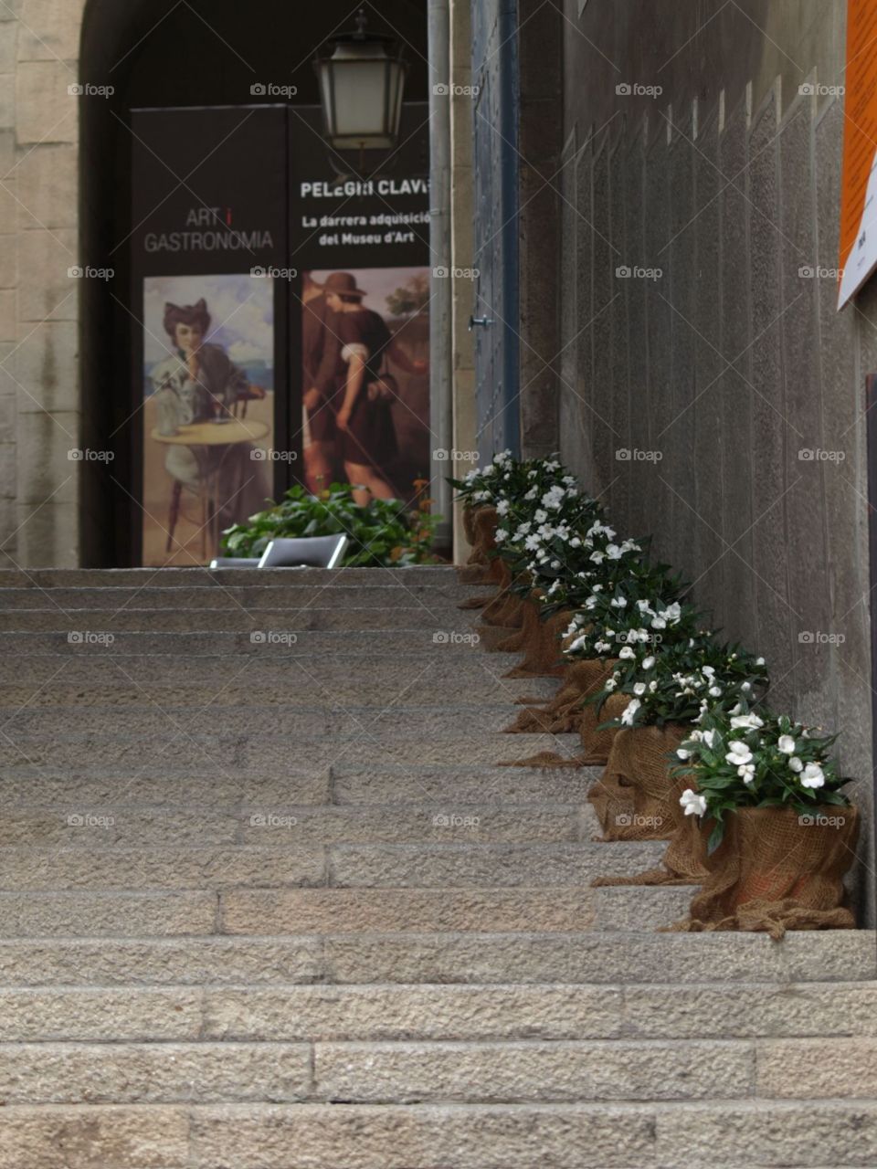 Flowered street