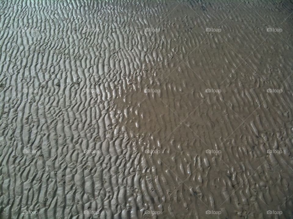 Rippled sand