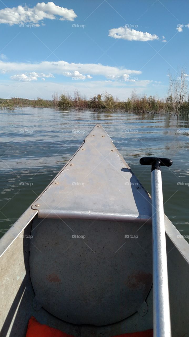 paddling the canoe