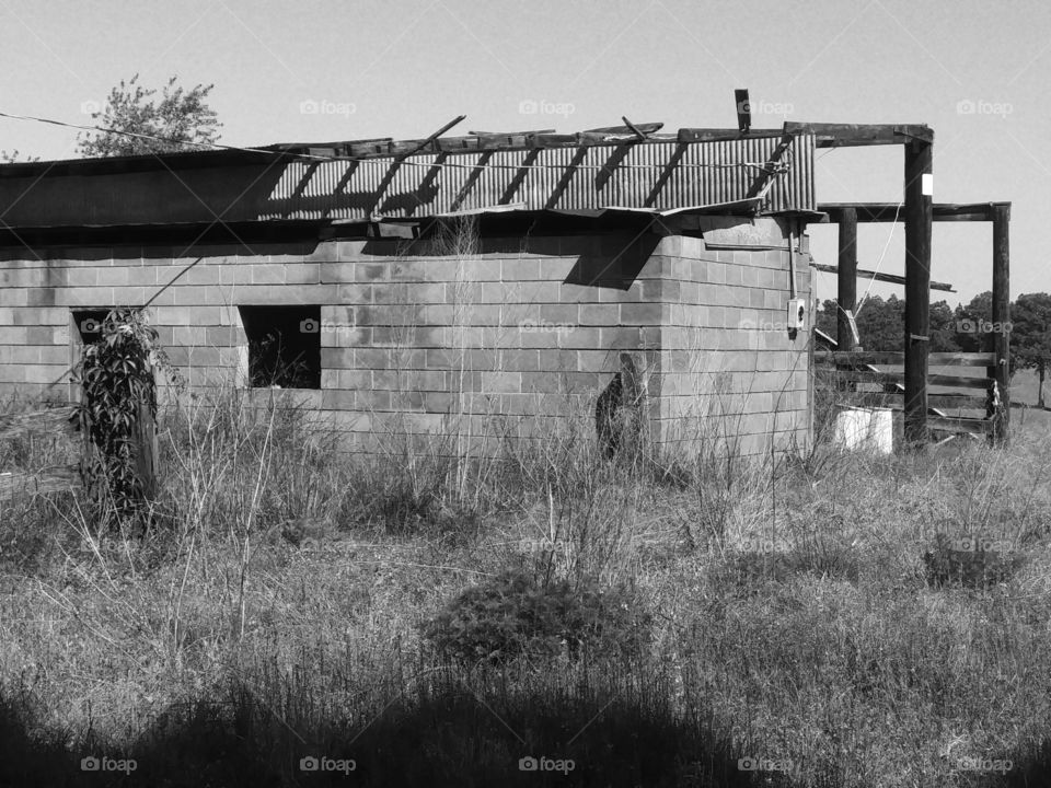 black and white abandoned farm
