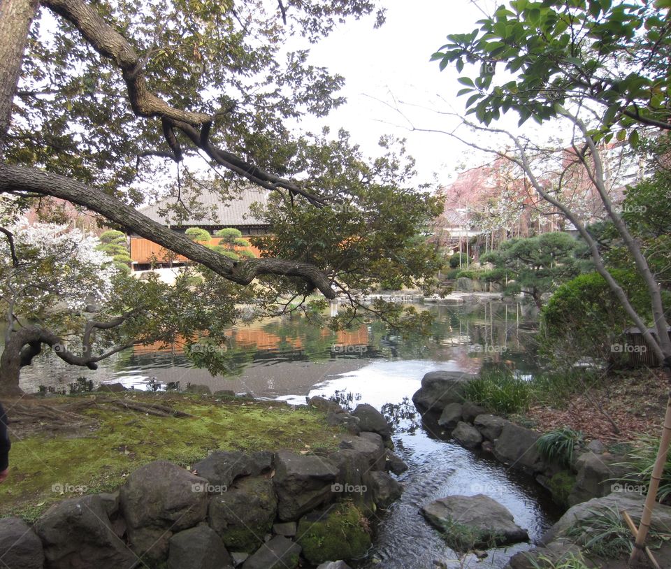 Asakusa, Tokyo, Japan.  Springtime Garden on Sensoji Temple Grounds.