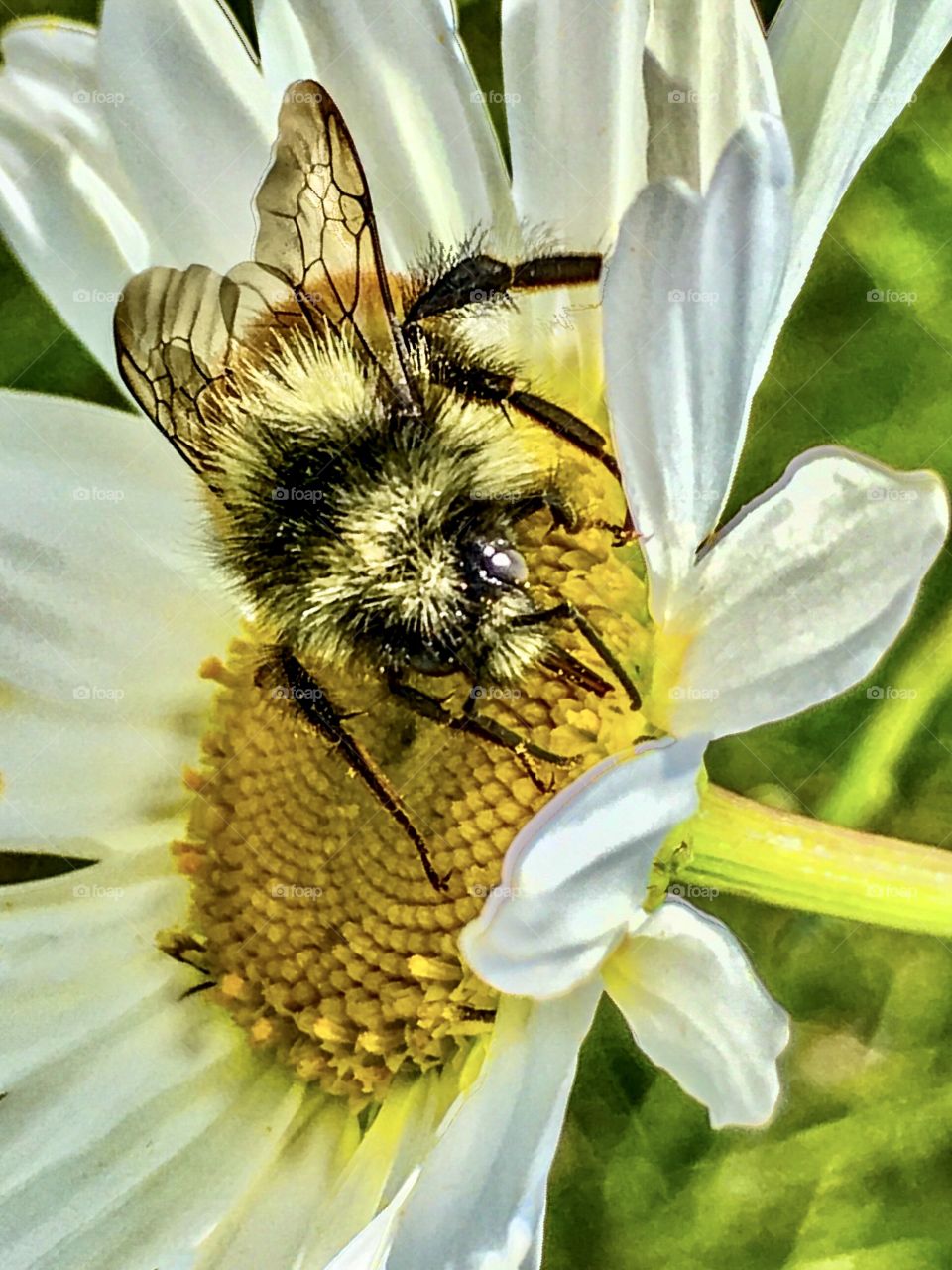 Fuzzle Taste Testing 