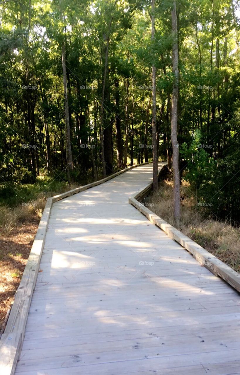 This Narrow Wooden Bridge brings you to a Secret Luxurious Garden