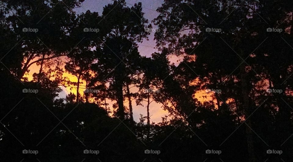 Sunset after the rain