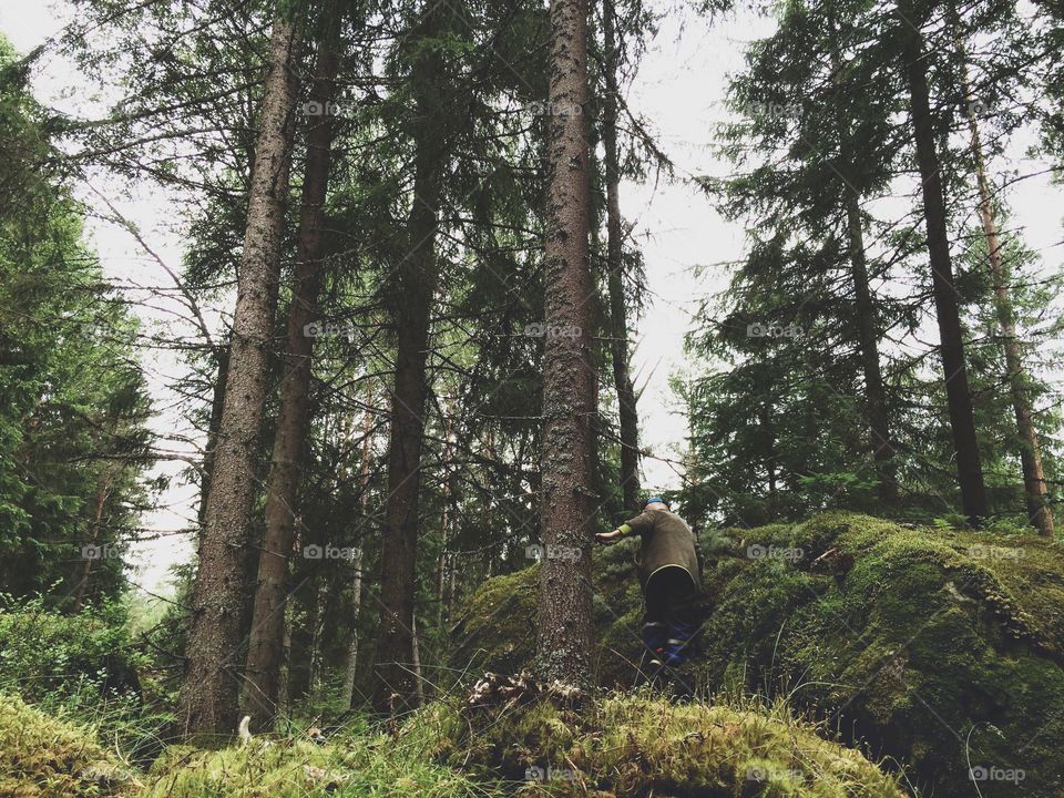 Forest. Boy climbing in the big forest