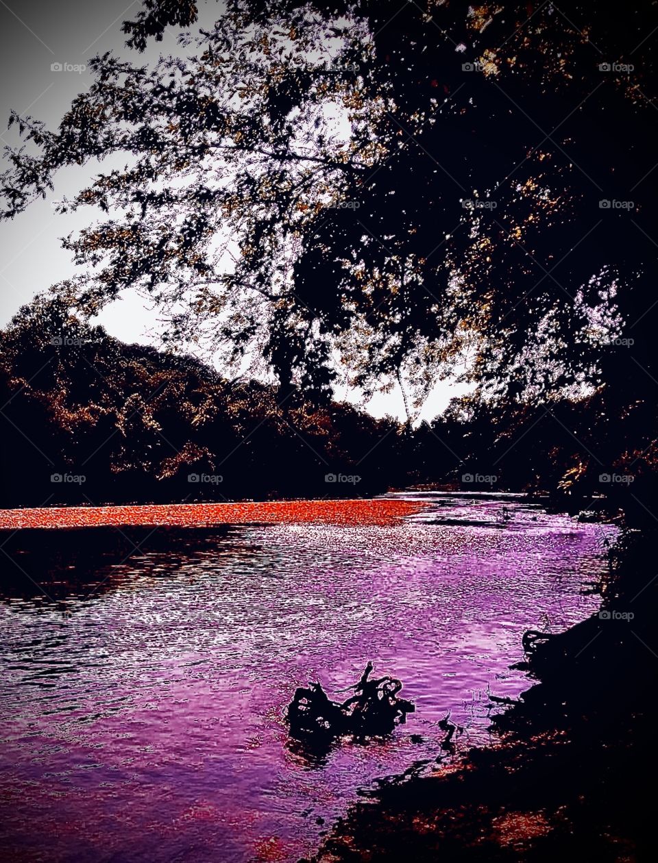 Enjoying a beautiful breeze with the family. Gorgeous sunset on the water on a bright beautiful day after being locked inside for so long