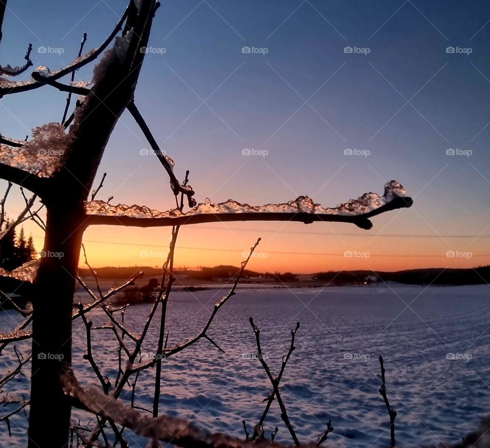 Icy sunset