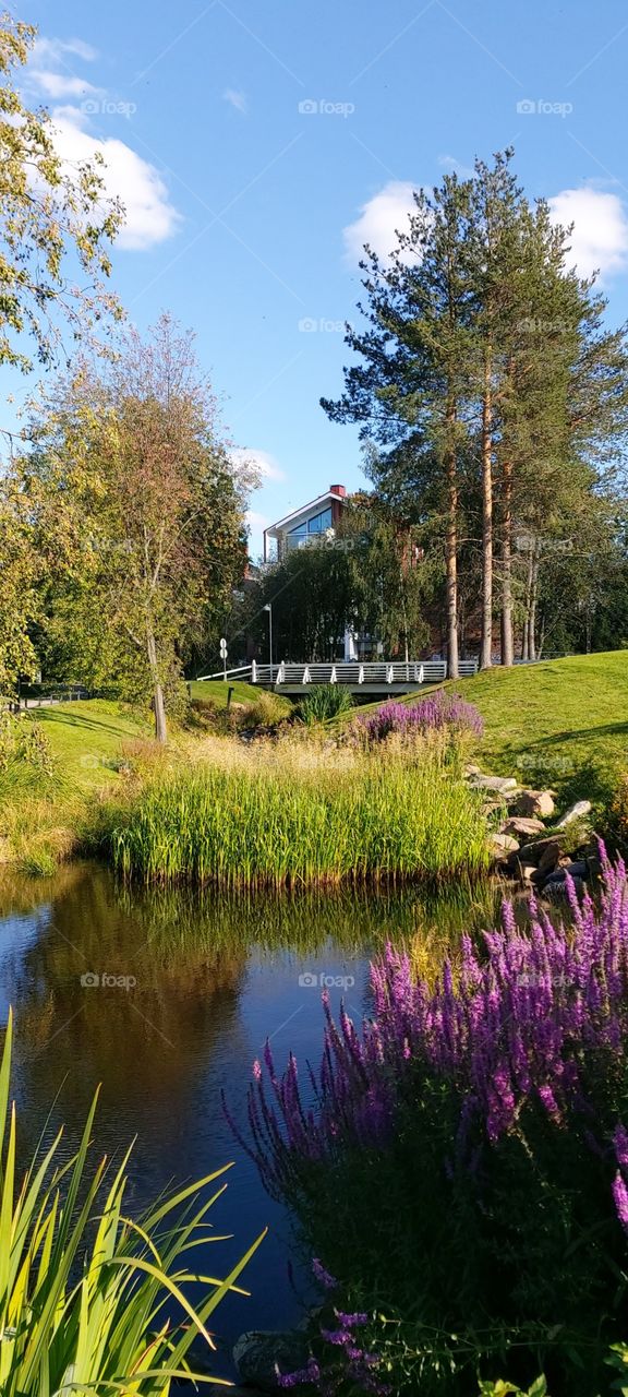 Autumn in Oulu, Finland