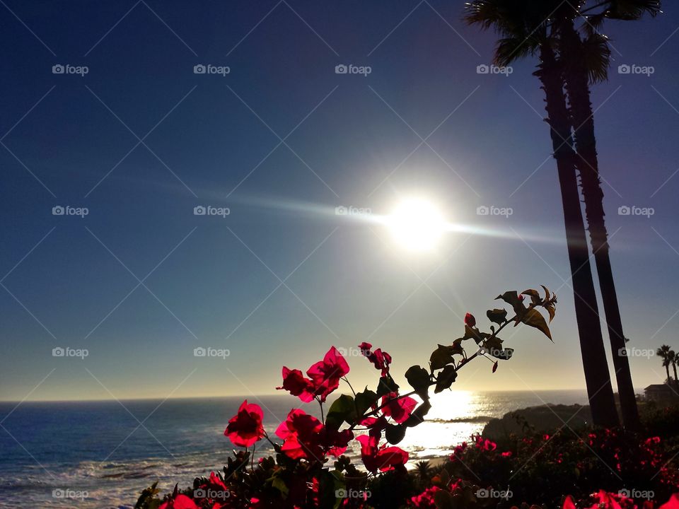 Beautiful Laguna Beach, CA