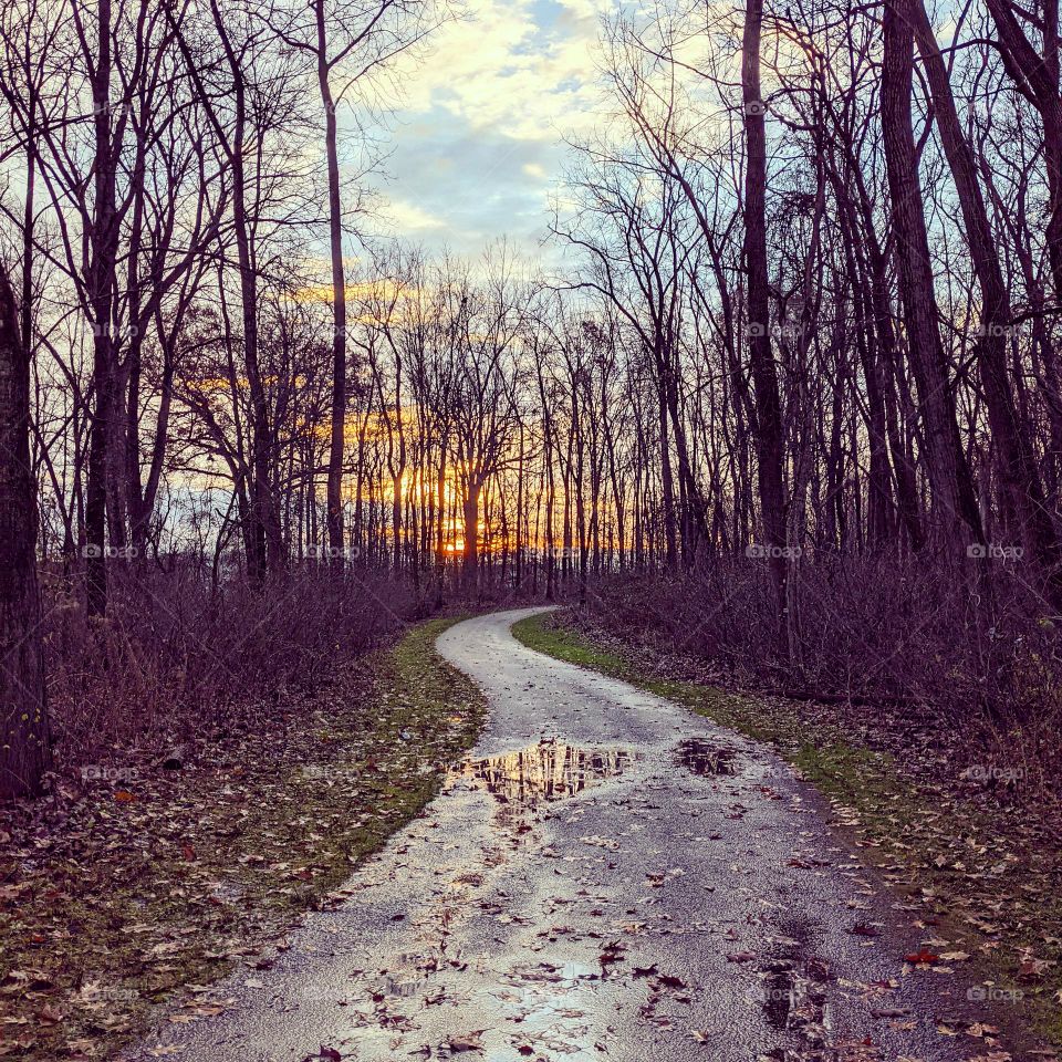 A morning walk after a rainy night