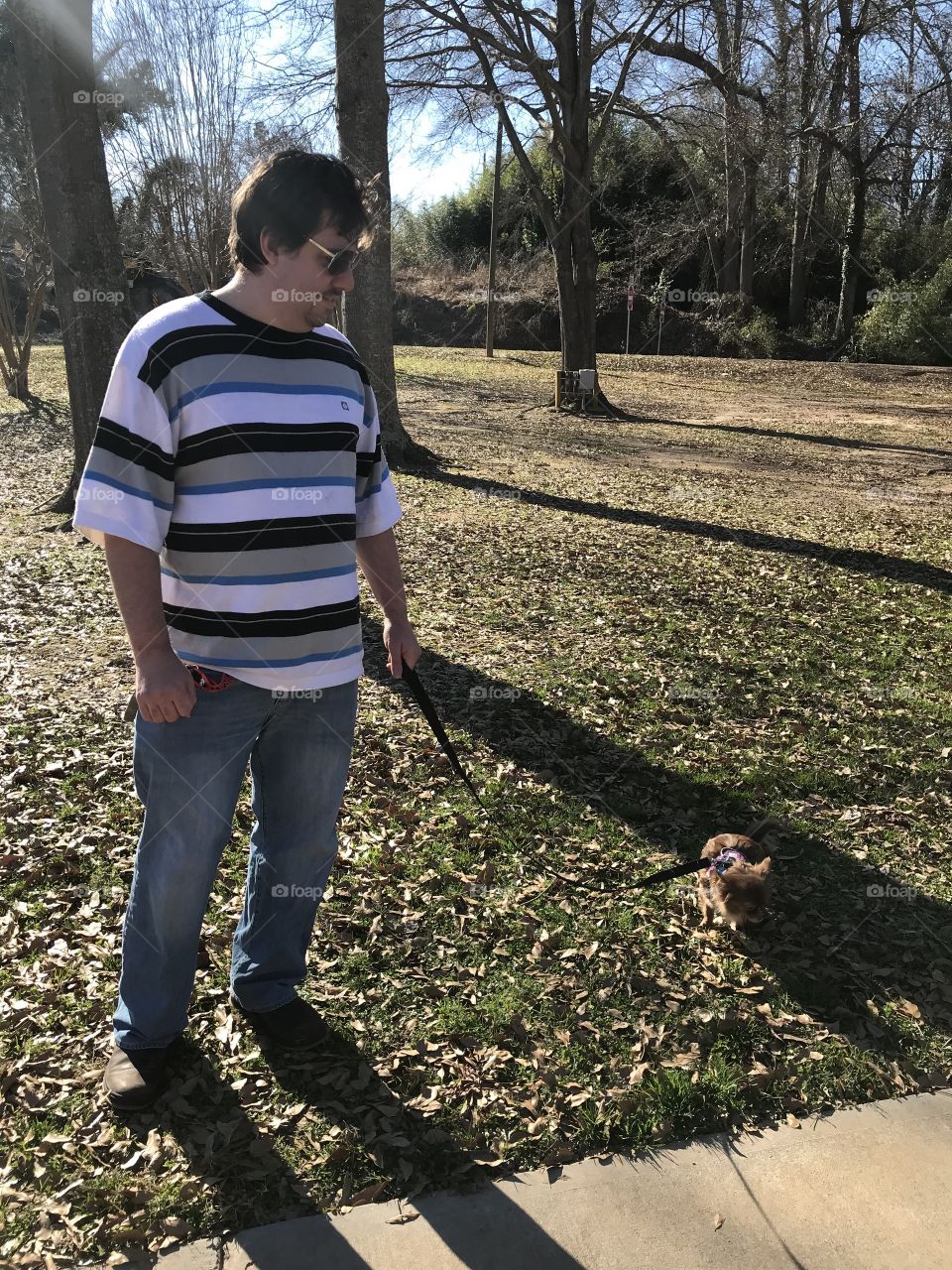 Spring Walk with Mimi the Chihuahua 