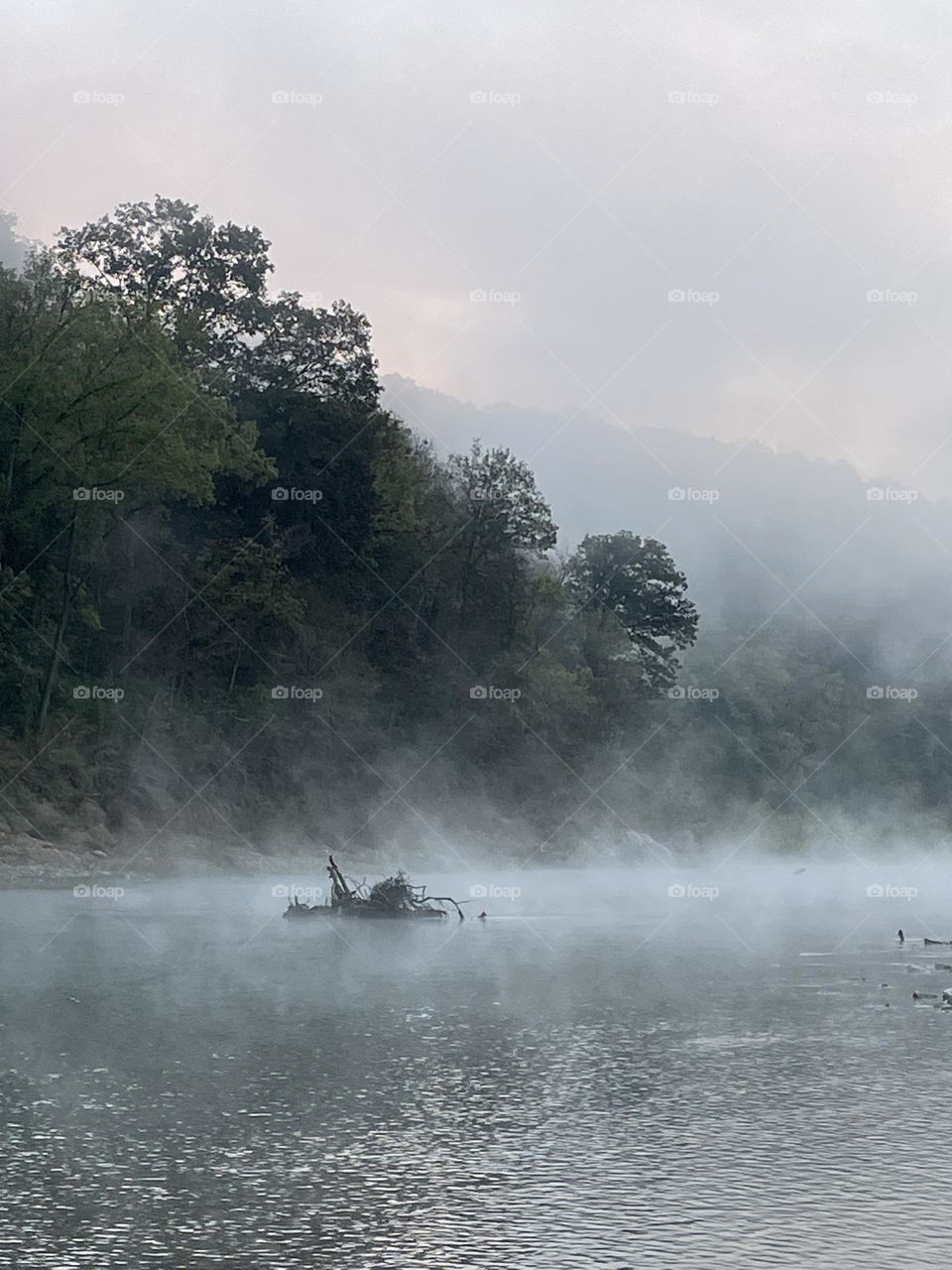 Foggy river morning. 
