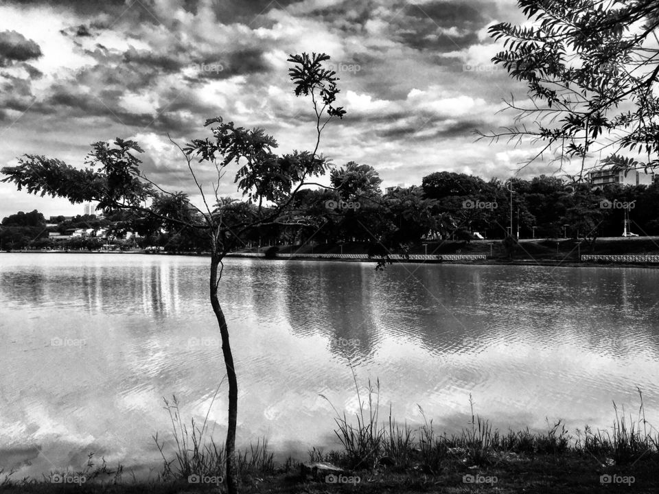 Seeing Double - 🇺🇸 The beauty of nature at Lake Taboão, in Bragança Paulista: in black and white, the photograph is also beautiful! / 🇧🇷 A beleza da natureza no Lago do Taboão, em Bragança Paulista: em preto e branco, a fotografia também fica bonita!