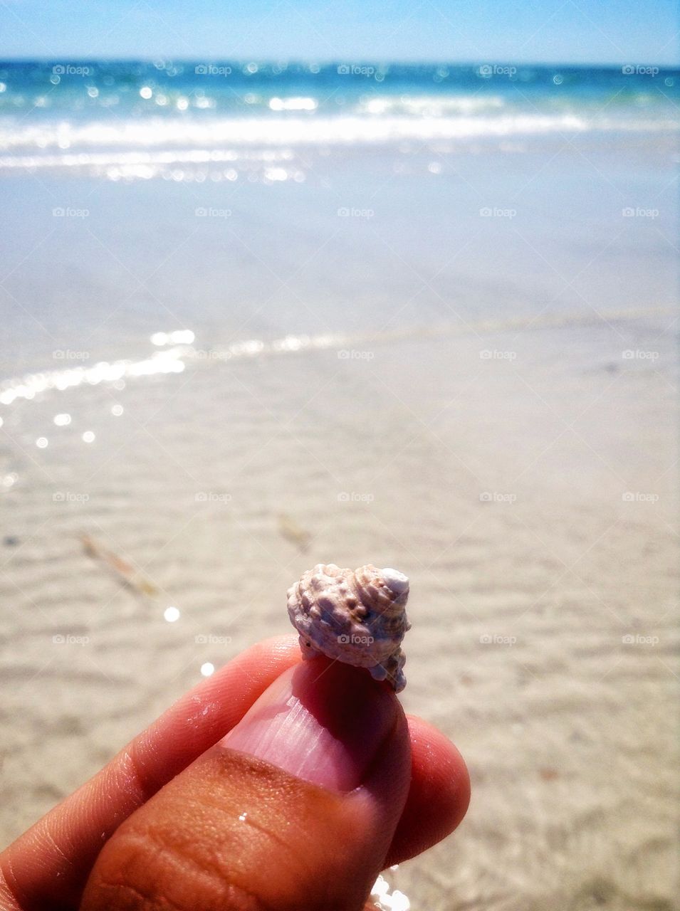 A shell just for you...