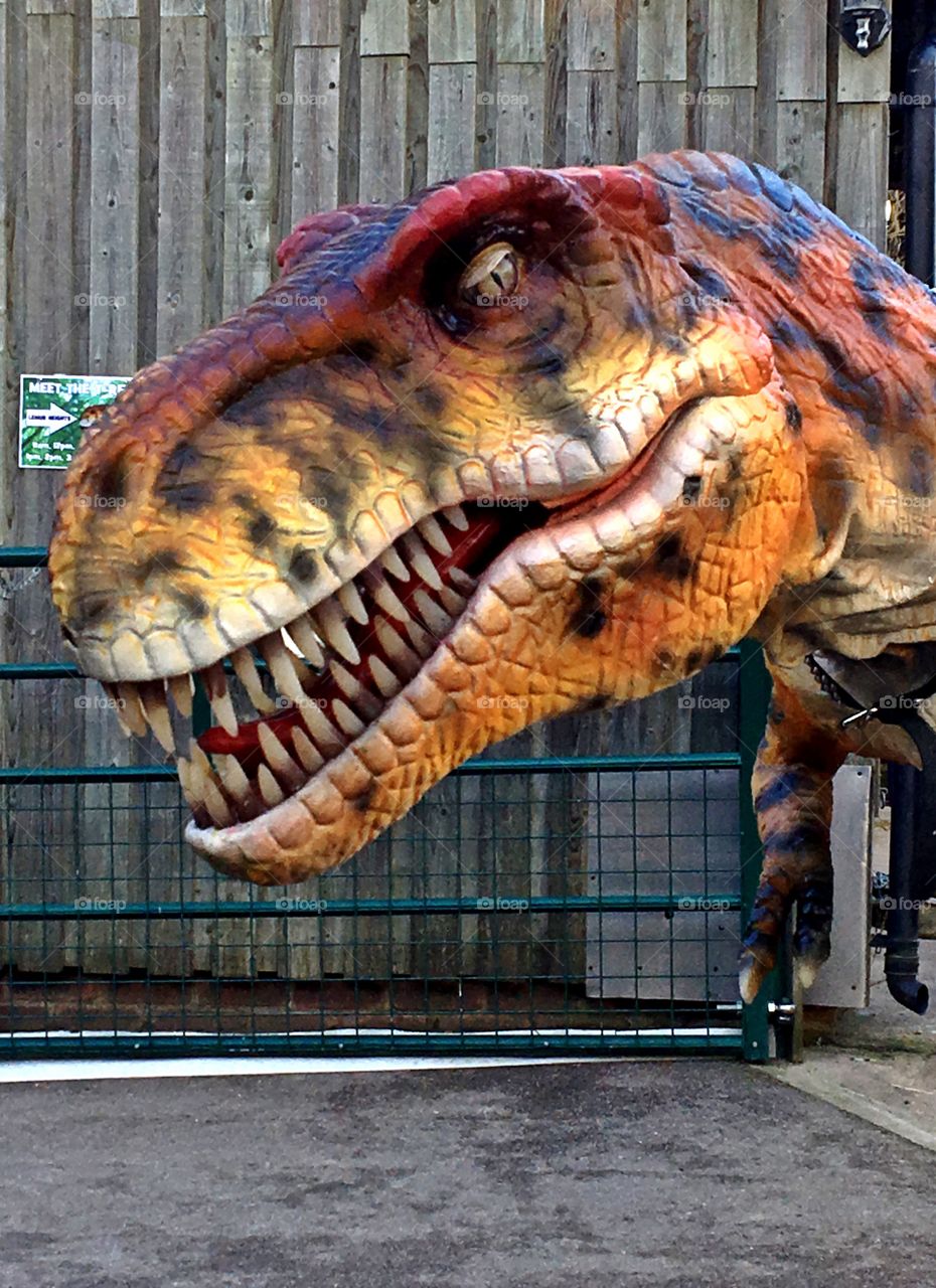 Animatronic dinosaur Tyrannosaurus Rex smiling for the camera.  