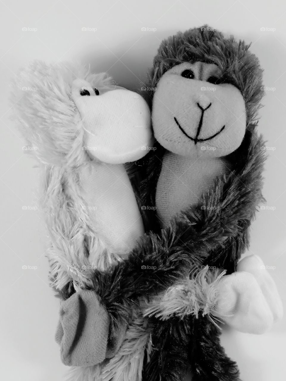 Monkey Love