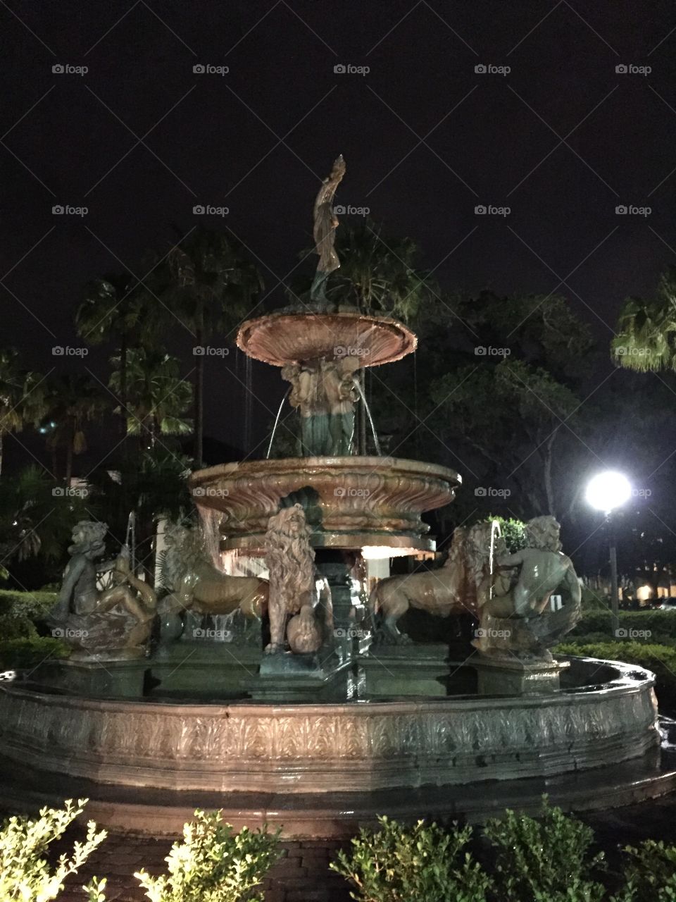 Fountains at Night