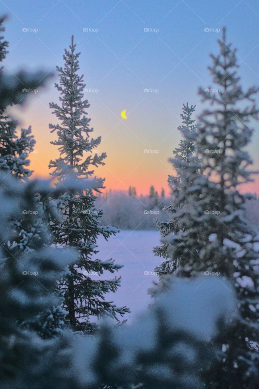 Early morning red-yellow sunrise, silence, freshness, frost, winter, north. Aurora borealis night.