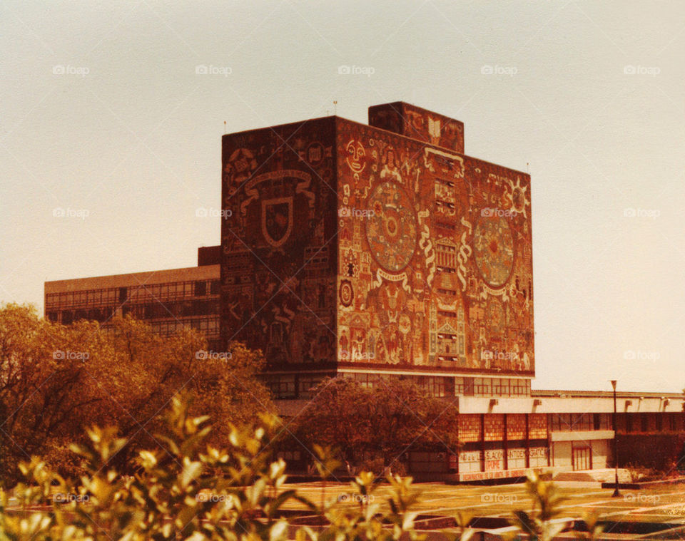University Mexico City 