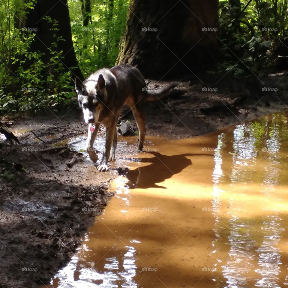 Mud. I love it. Enough said.