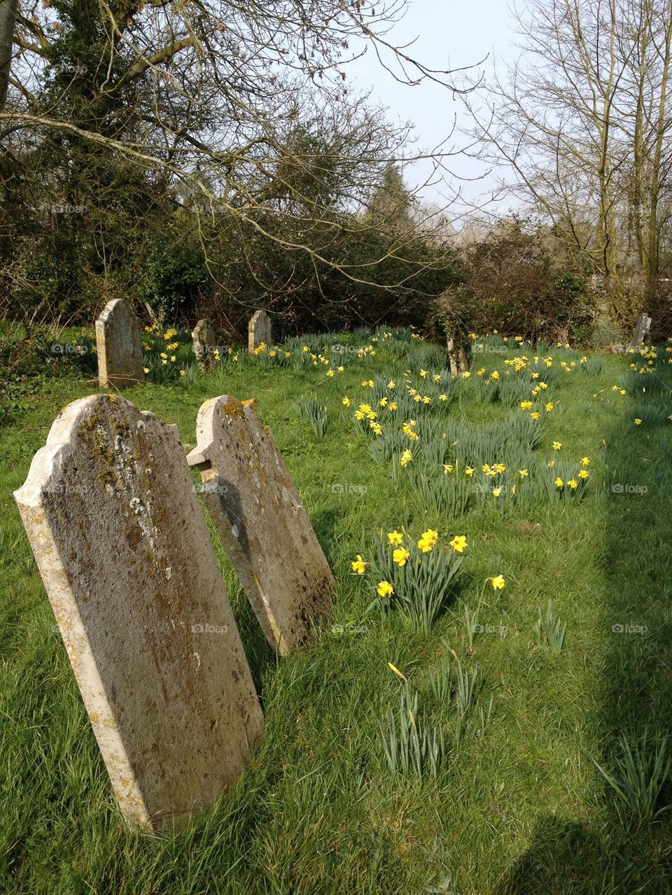 Churchyard in spring