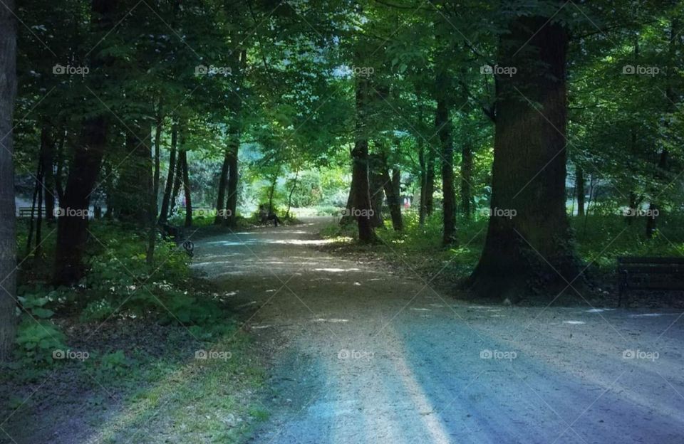 Maksimir Park in Zagreb Croatia