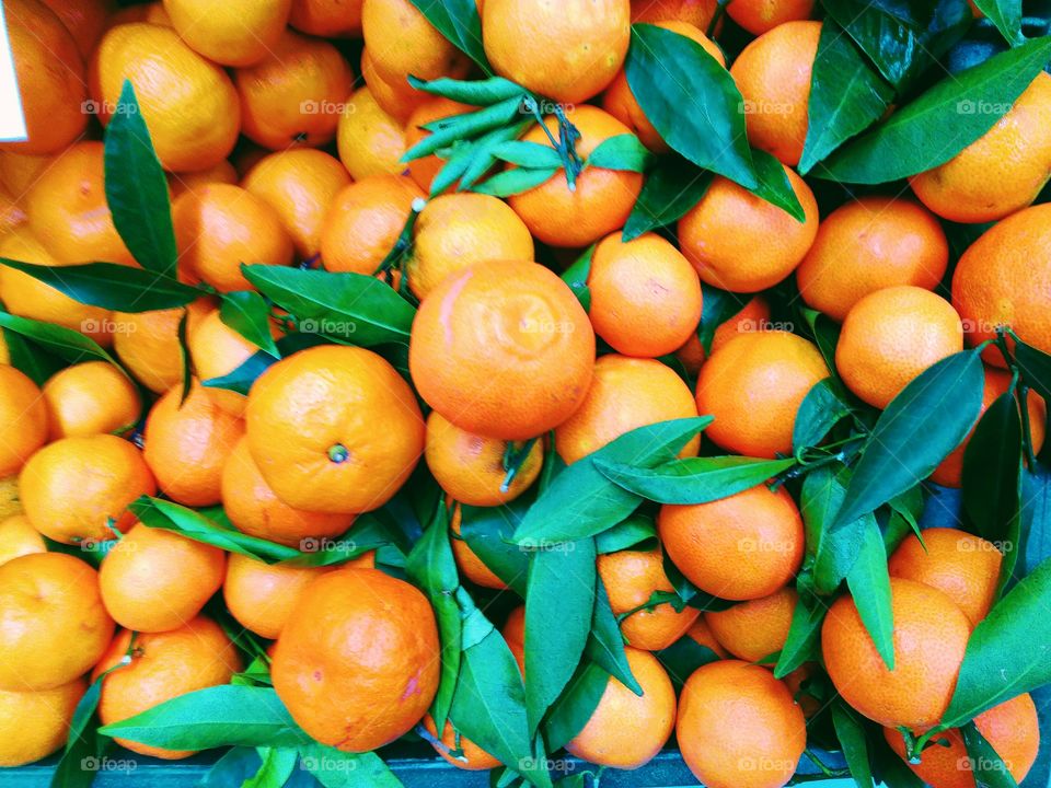 tangerines with green leaves