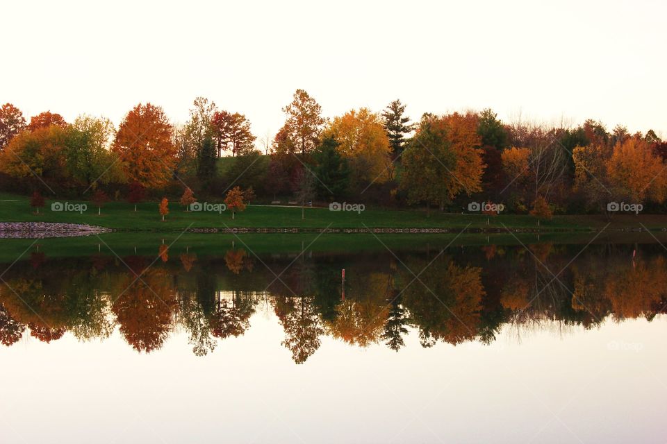 Autumn trees near the lake