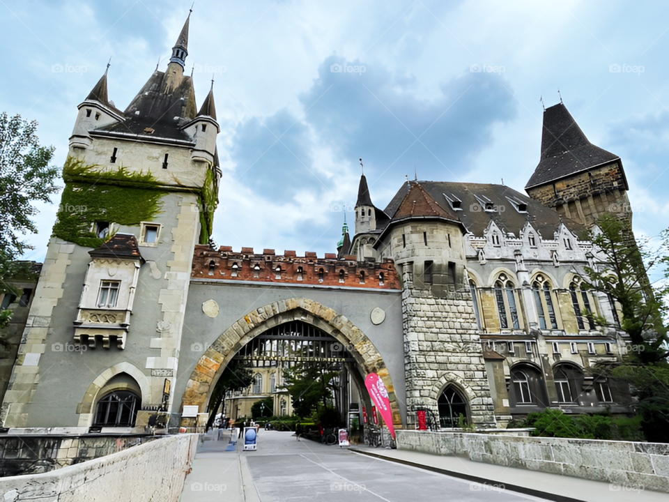 The Castle with Ivy Tower