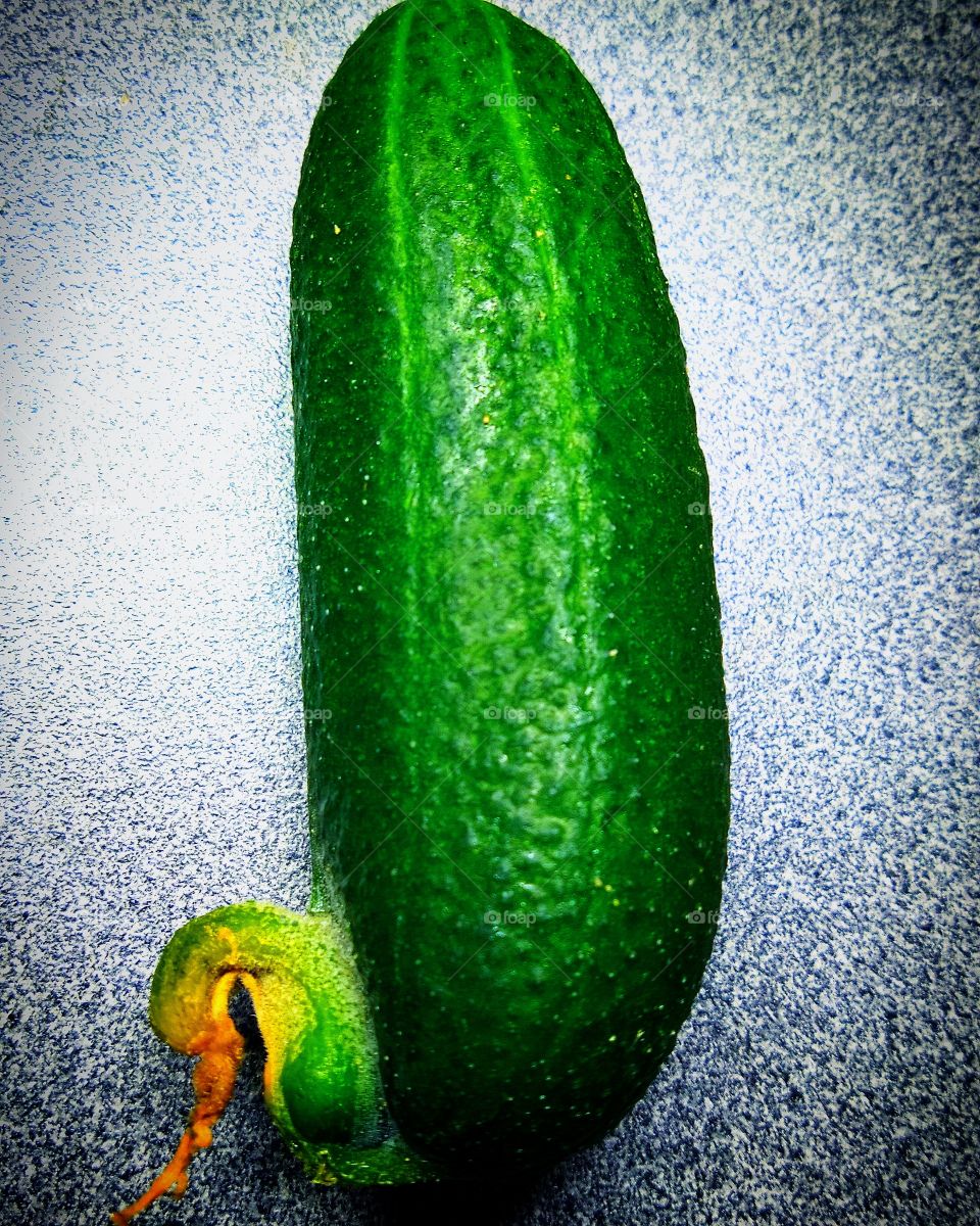 Humor.  Nature.  Cucumber with a tip