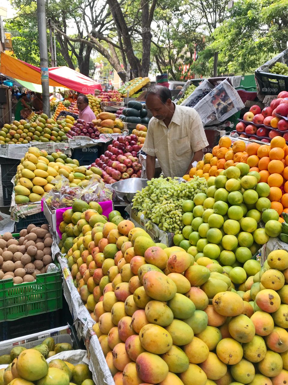 Fruit sellers in Bengaluru, Karnataka, India 