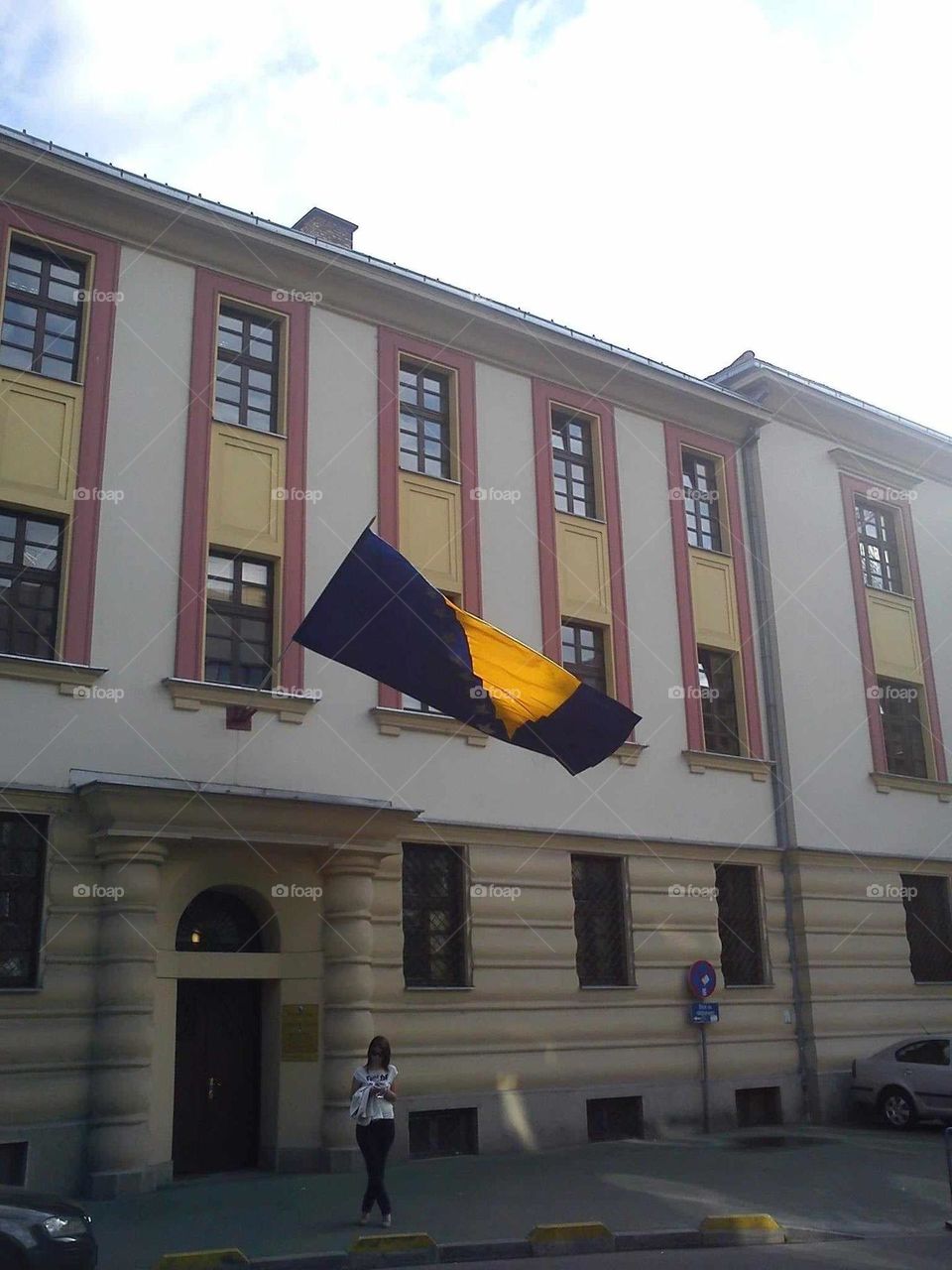 Bosnia and Herzegovina flag