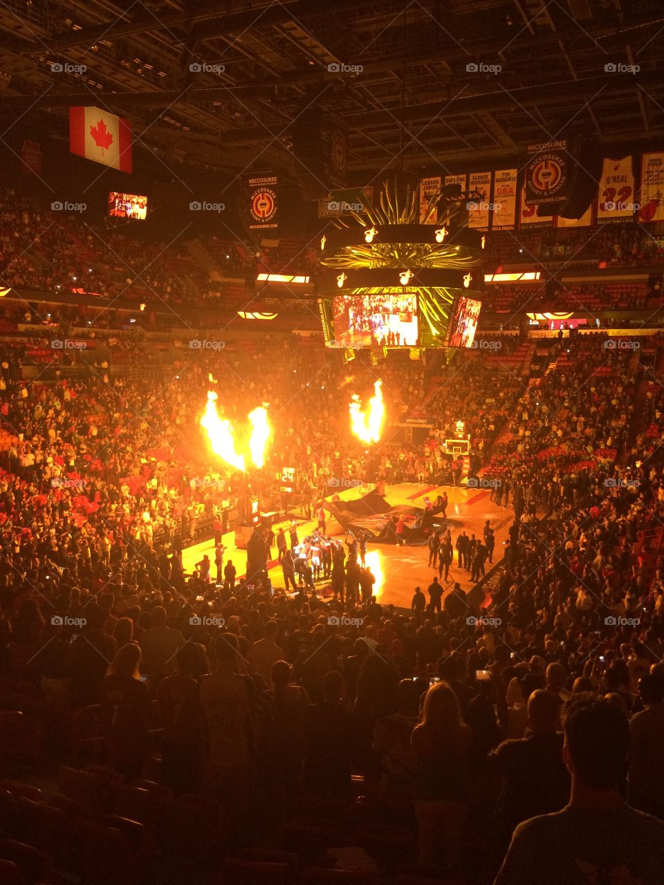 Miami Heat basketball game at the AAA